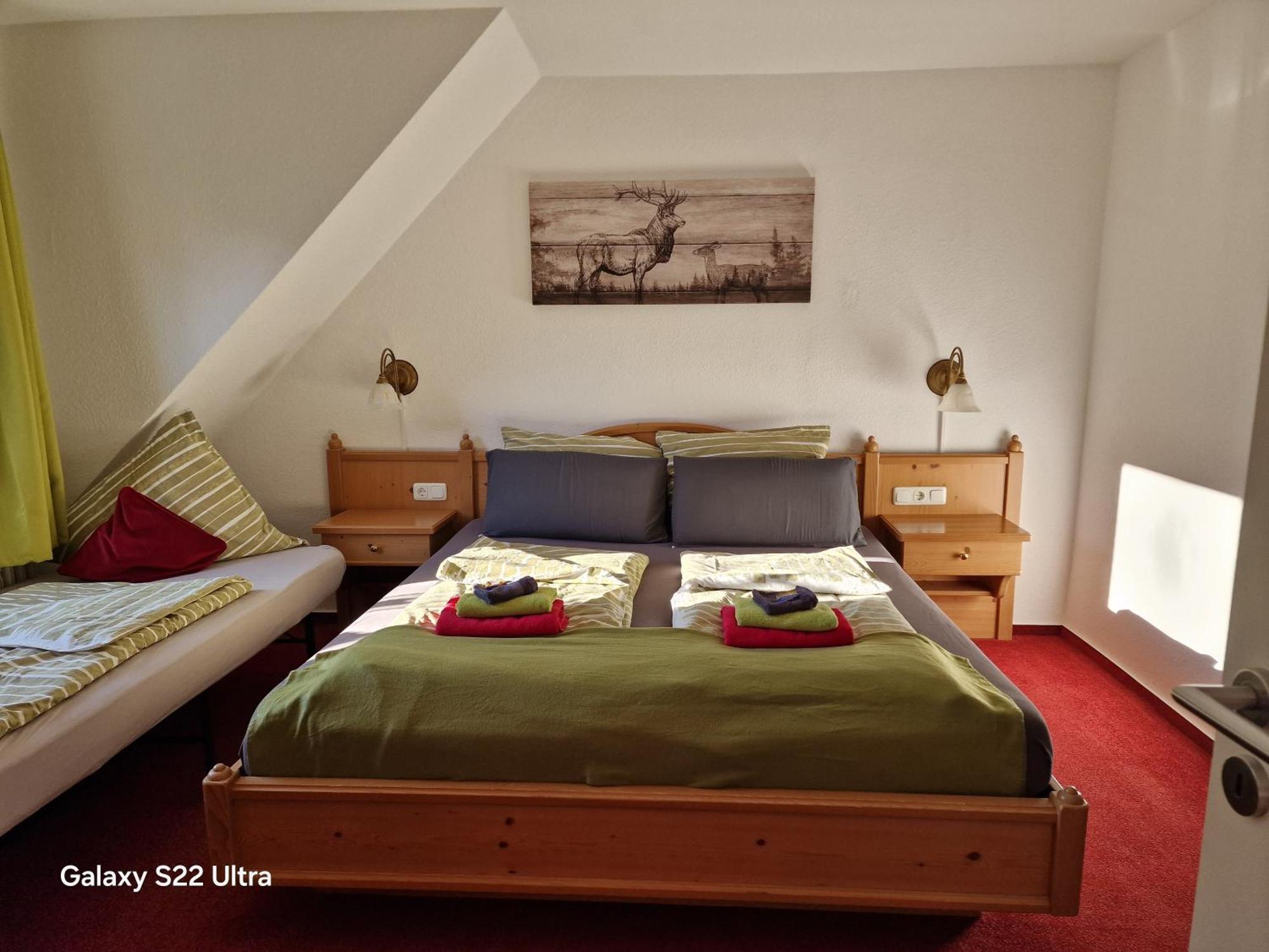 Ferienwohnung Vier Pfoten Willingen  Bagian luar foto