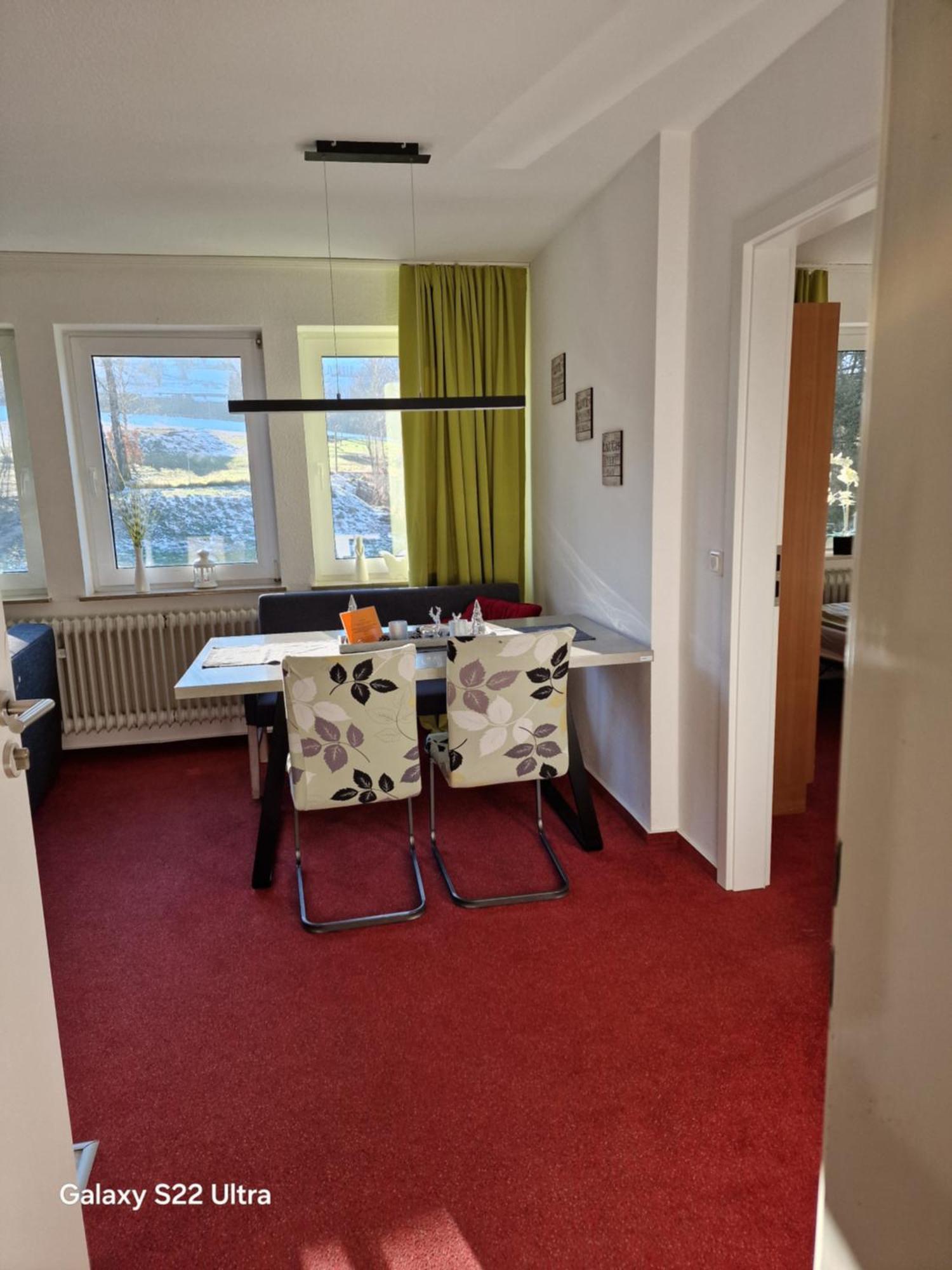 Ferienwohnung Vier Pfoten Willingen  Bagian luar foto