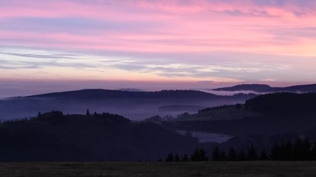 Ferienwohnung Vier Pfoten Willingen  Bagian luar foto